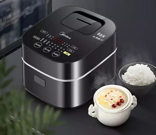 电饭煲选购指南 牌子、质量与使用注意事项全解析